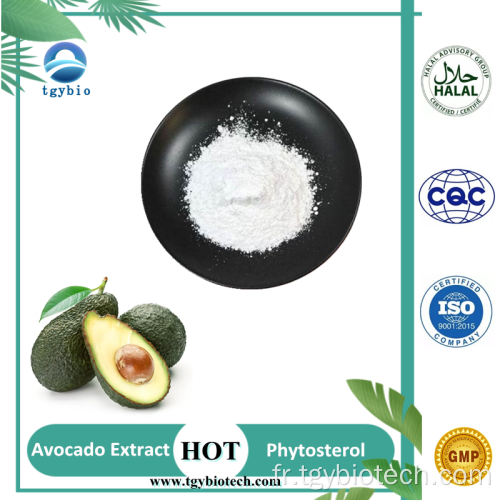 Food Grade 100% Natural Bulk 90% 95% Phytostérols